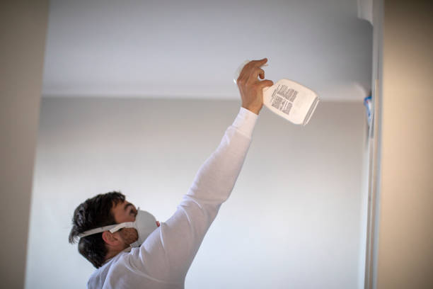 Best Home Mold Removal  in Virden, IL