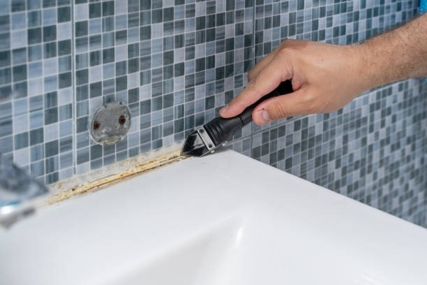 Best Same-Day Mold Removal  in Virden, IL